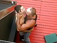 Dad bear bonks his cub.