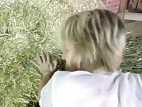German Amateur Sex Movie - Full HD with Blowjob and Cumshot