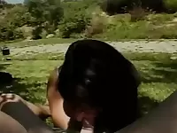 Hot Retro MILF Vivian Valentine Takes a Huge Facial After Wild Outdoor Fuck